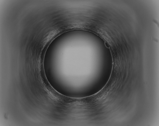 X0000091880578200709051325