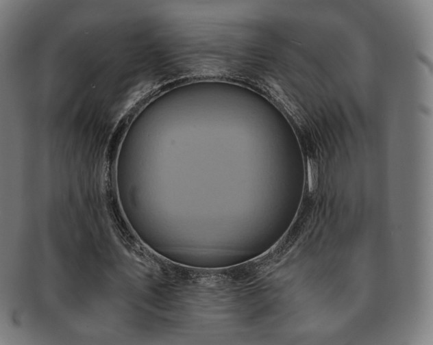 X0000091880579200709051325