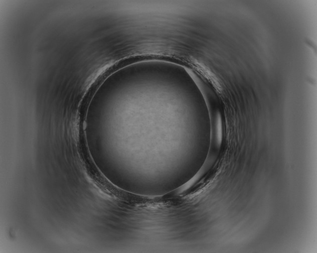 X0000091880580200709051325