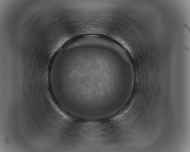 X0000091880581200709051325