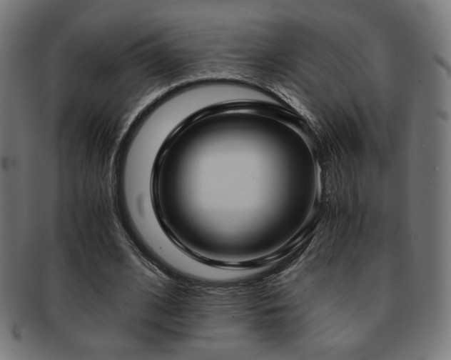 X0000091880584200709051325