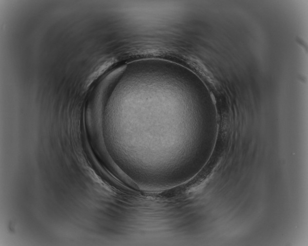 X0000091880585200709051325