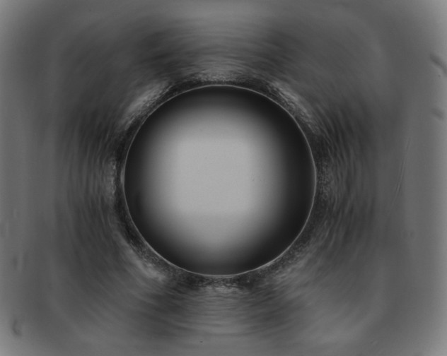 X0000091880586200709051325
