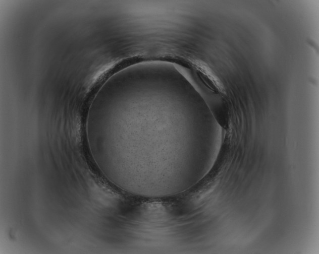 X0000091880588200709051325