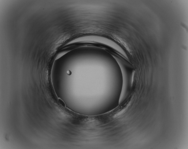X0000091880589200709051325