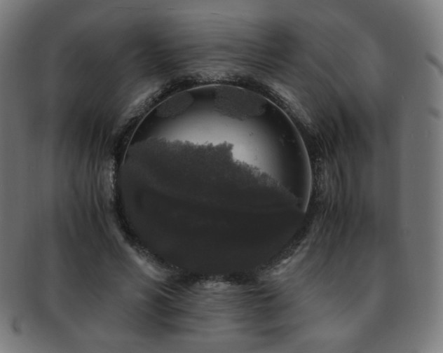 X0000091880590200709051325
