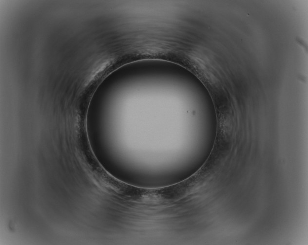X0000091880591200709051325