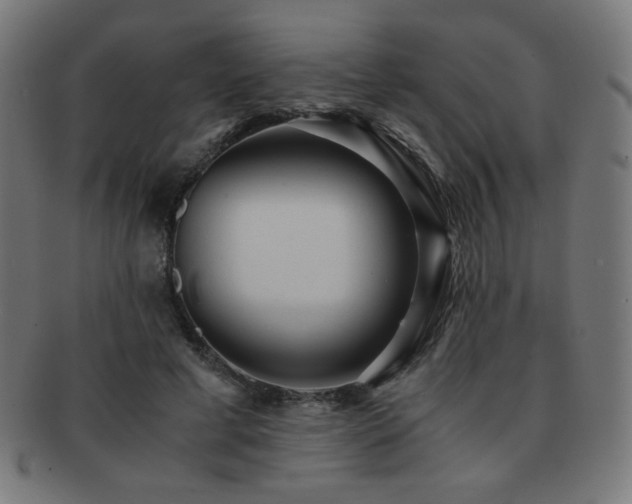 X0000091880593200709051325