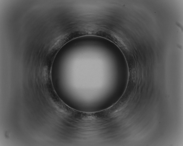 X0000091880594200709051325