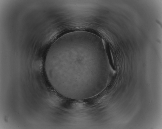 X0000091880595200709051325