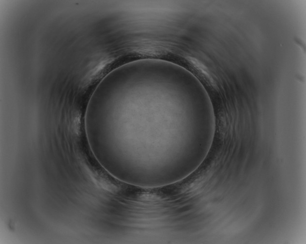 X0000091880596200709051325