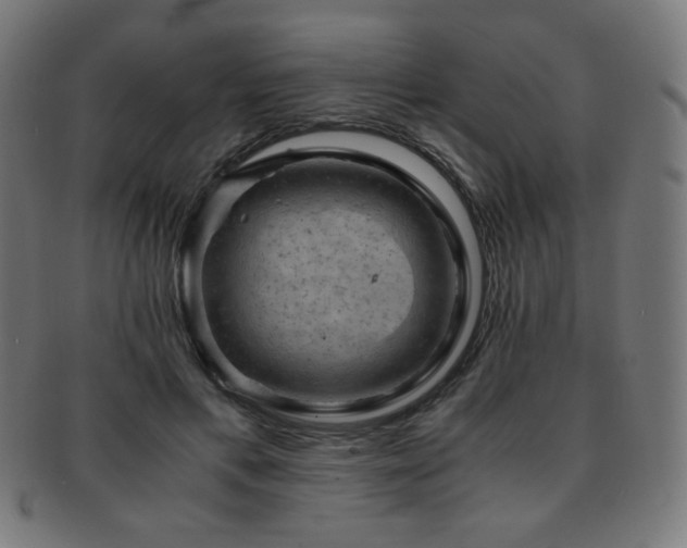 X0000091880597200709051325