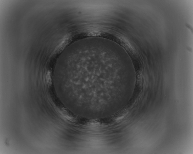 X0000091880598200709051325