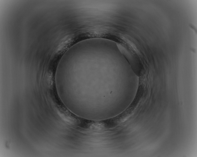 X0000091880599200709051325