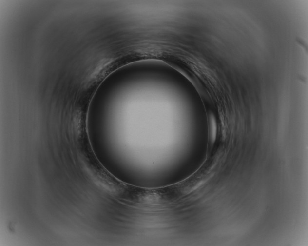 X0000091880600200709051325