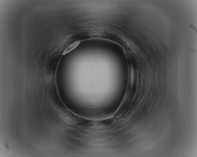 X0000091880601200709051325