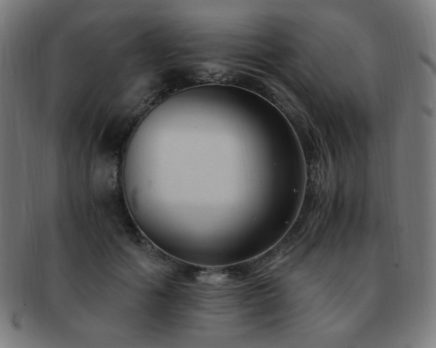 X0000091880602200709051325