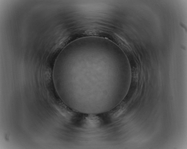 X0000091880603200709051325