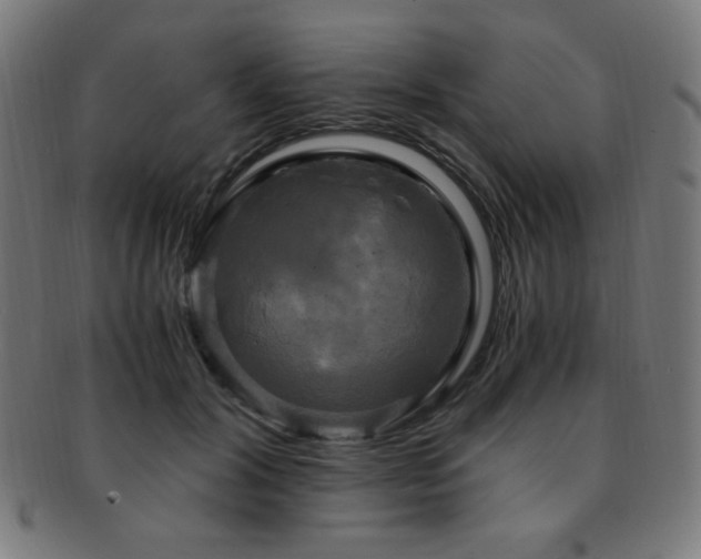 X0000091880604200709051325