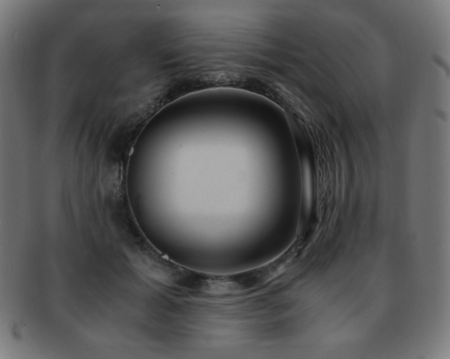 X0000091880605200709051325