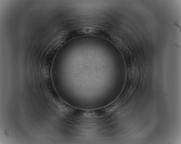 X0000091880606200709051325