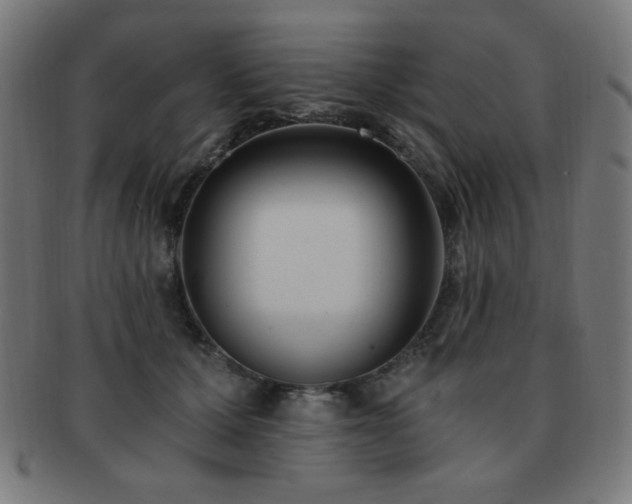 X0000091880607200709051325