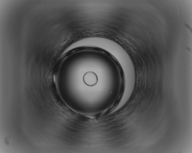 X0000091880608200709051325