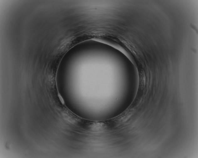 X0000091880609200709051325
