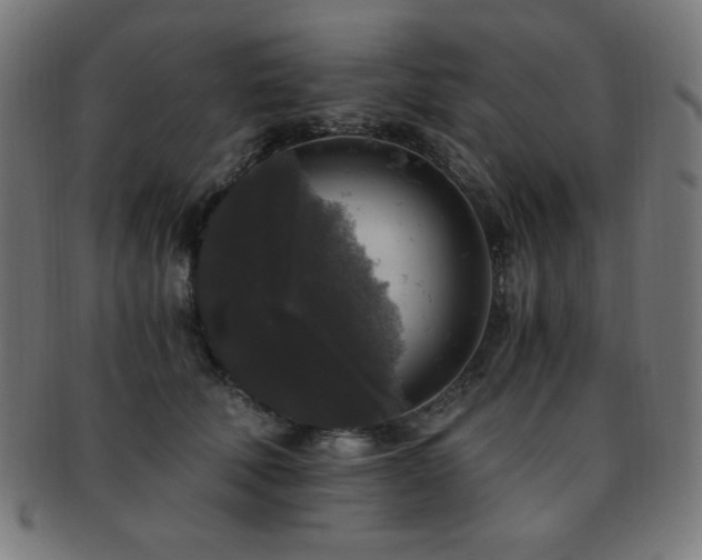 X0000091880610200709051325