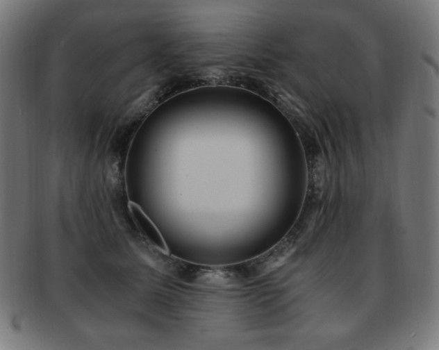 X0000091880611200709051325