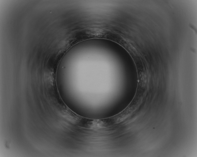X0000091880612200709051325