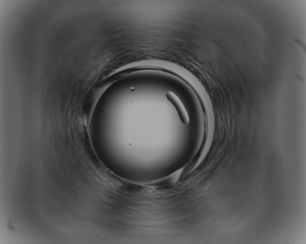 X0000091880613200709051325
