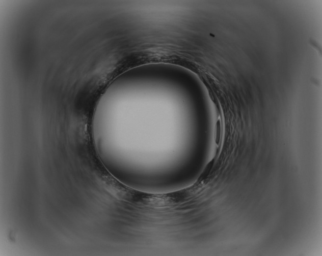 X0000091880615200709051325