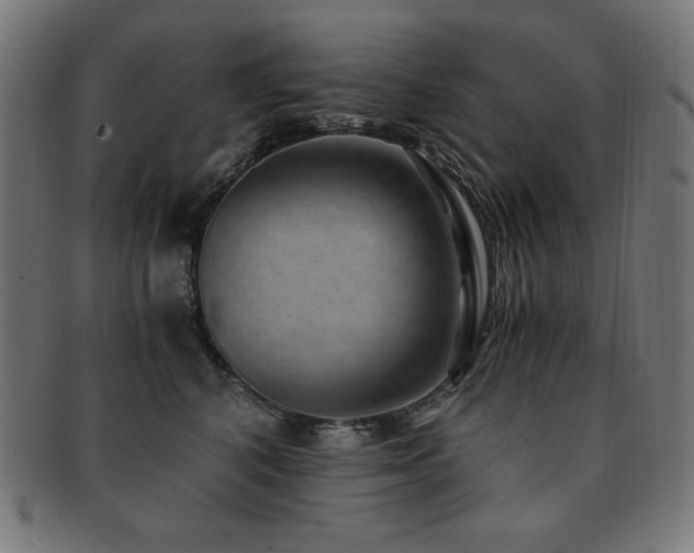 X0000091880616200709051325
