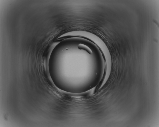 X0000091880617200709051325