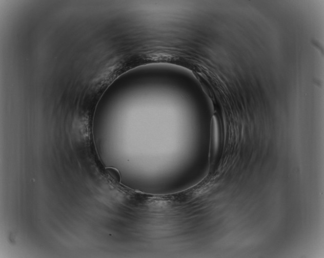 X0000091880620200709051325