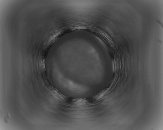 X0000091880621200709051325