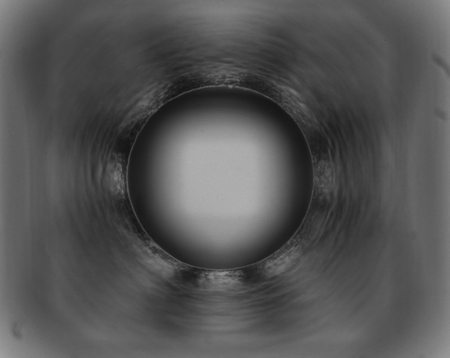 X0000091880622200709051325