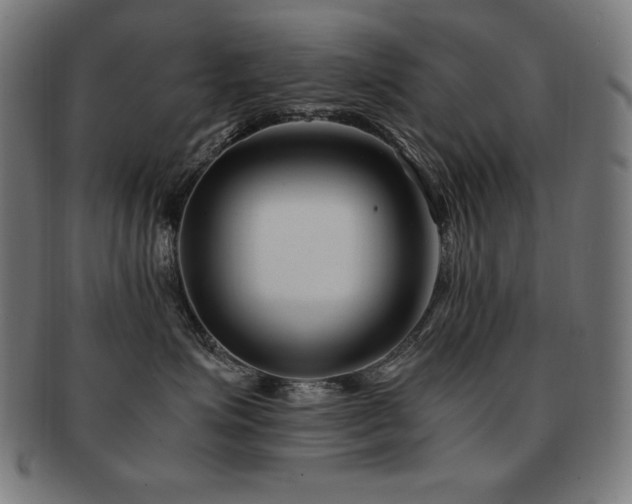 X0000091880623200709051325