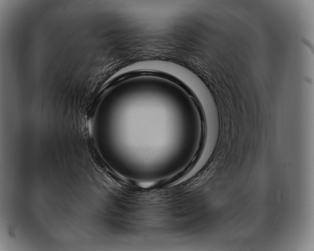 X0000091880624200709051325