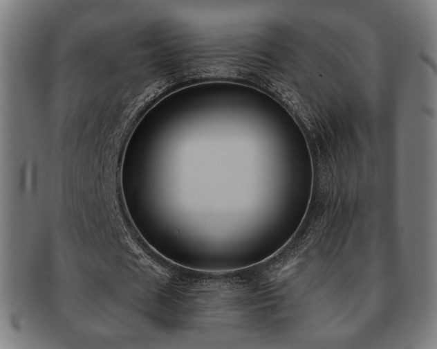 X0000091880625200709051324