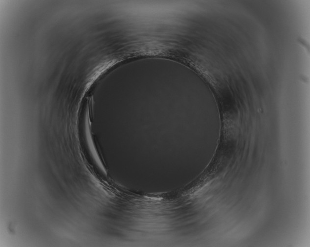 X0000091880626200709051324