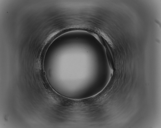 X0000091880628200709051324
