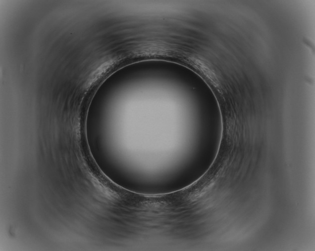 X0000091880629200709051324