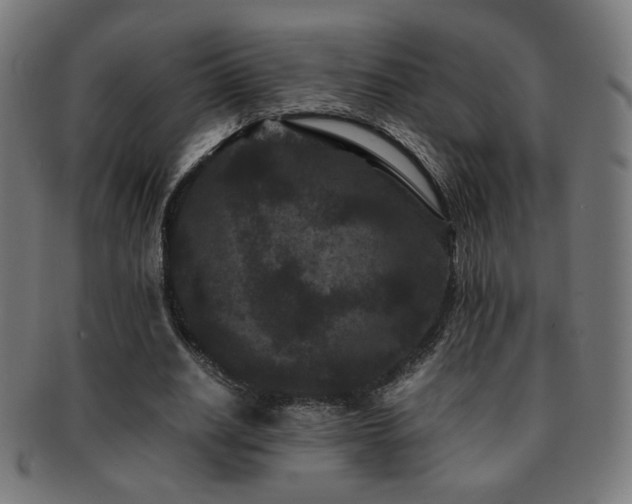 X0000091880630200709051324