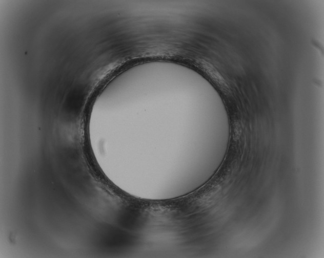 X0000091880632200709051324