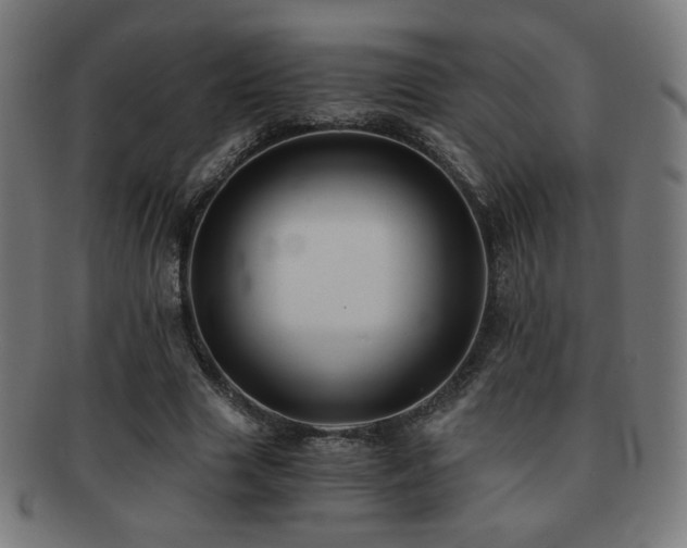 X0000091880633200709051324