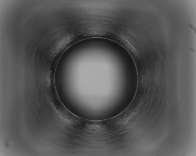 X0000091880635200709051324