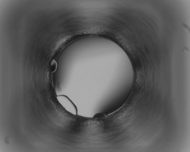 X0000091880636200709051324