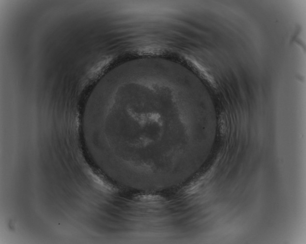 X0000091880637200709051324